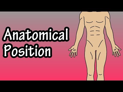 Video: Kodėl anatominė padėtis svarbi?