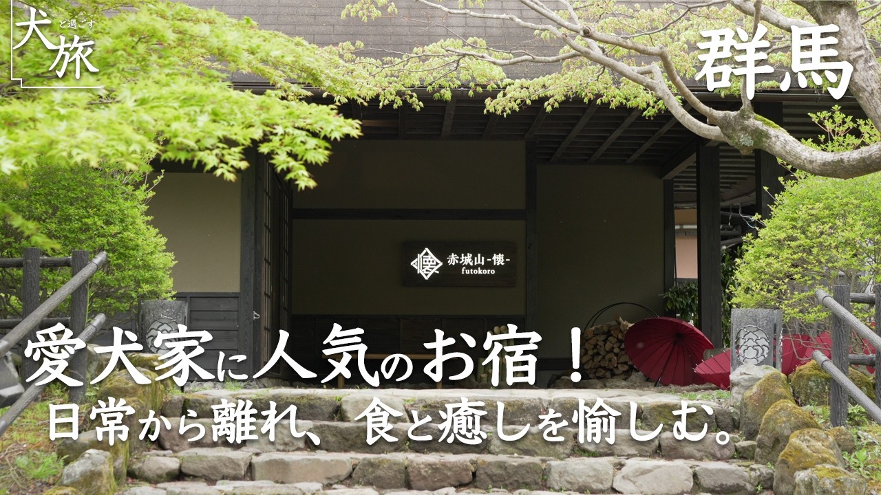 【赤城山 -懐-｜群馬】リピ確定！愛犬と泊まれる古民家温泉宿の客室もお料理も全てに大満足だった！