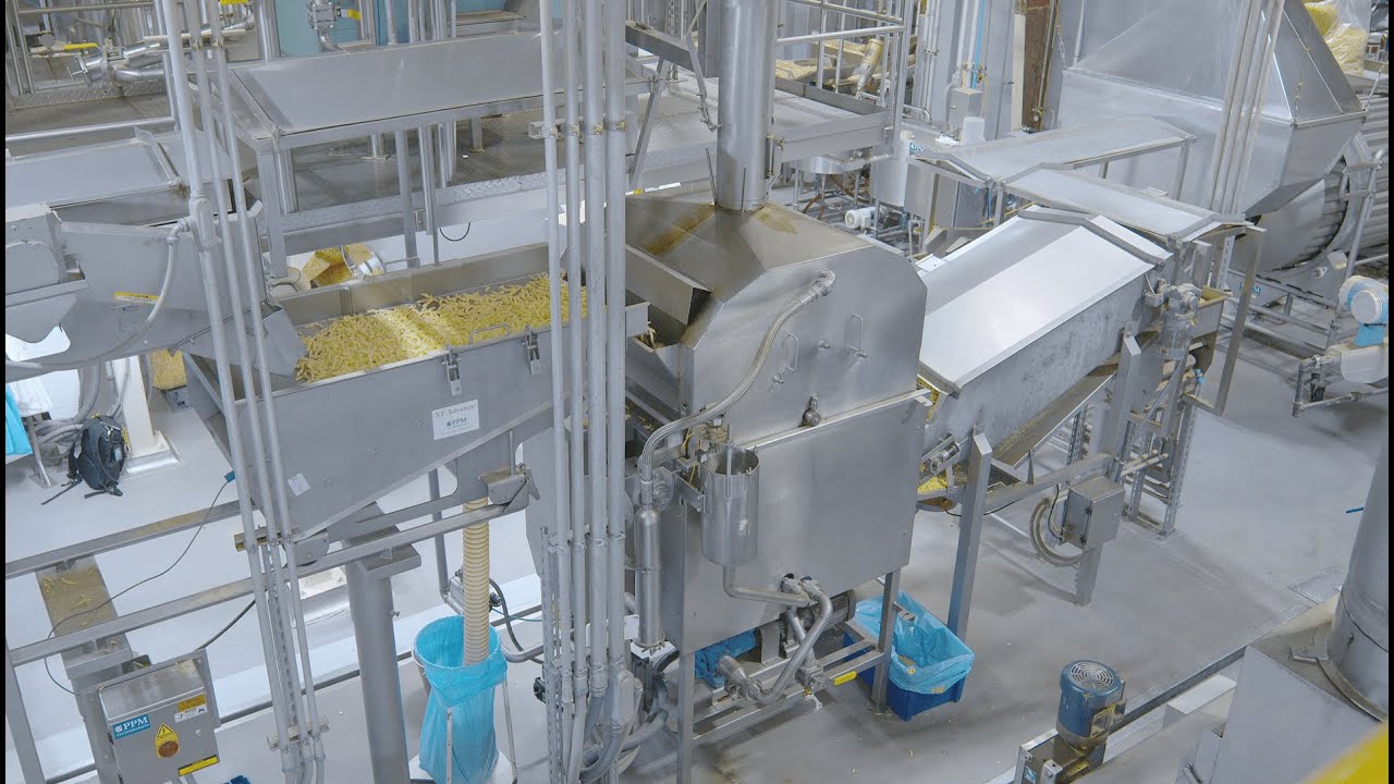 PPM Technologies ROTO-COOK™ Snack Fryer & Slurry Coating System