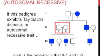 Solving pedigree genetics problems