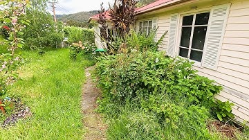 EXTREME TUINRAMP! We hebben de gezondheidsrisico