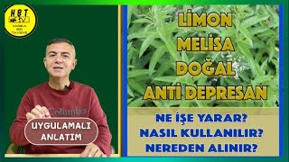 Meli̇sa Bi̇tki̇si̇ Faydalari Neler Nereden Alinir Nasil Tüketi̇lmeli̇?