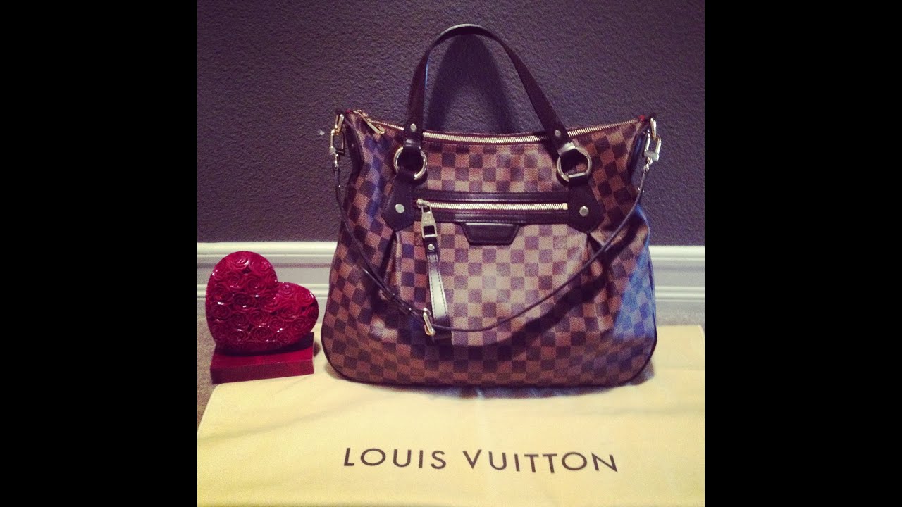 Louis Vuitton Damier Canvas Evora Bag