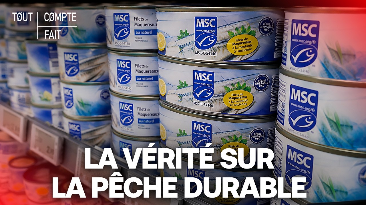 POISSON : Peut-on faire confiance aux labels de pêche ? – Tout Compte Fait