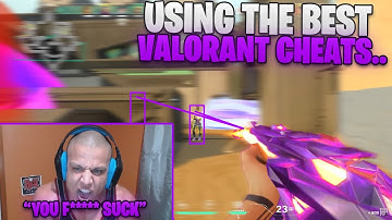 I Used the BEST Valorant CHEAT... (INSANE Results)