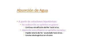 D  Seminario 4 B Digestión y absorción de nutrientes e hidroelectrolítica UA2 FMED UBA