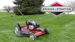 Where to Find Your Lawn Mower Engine Model Number