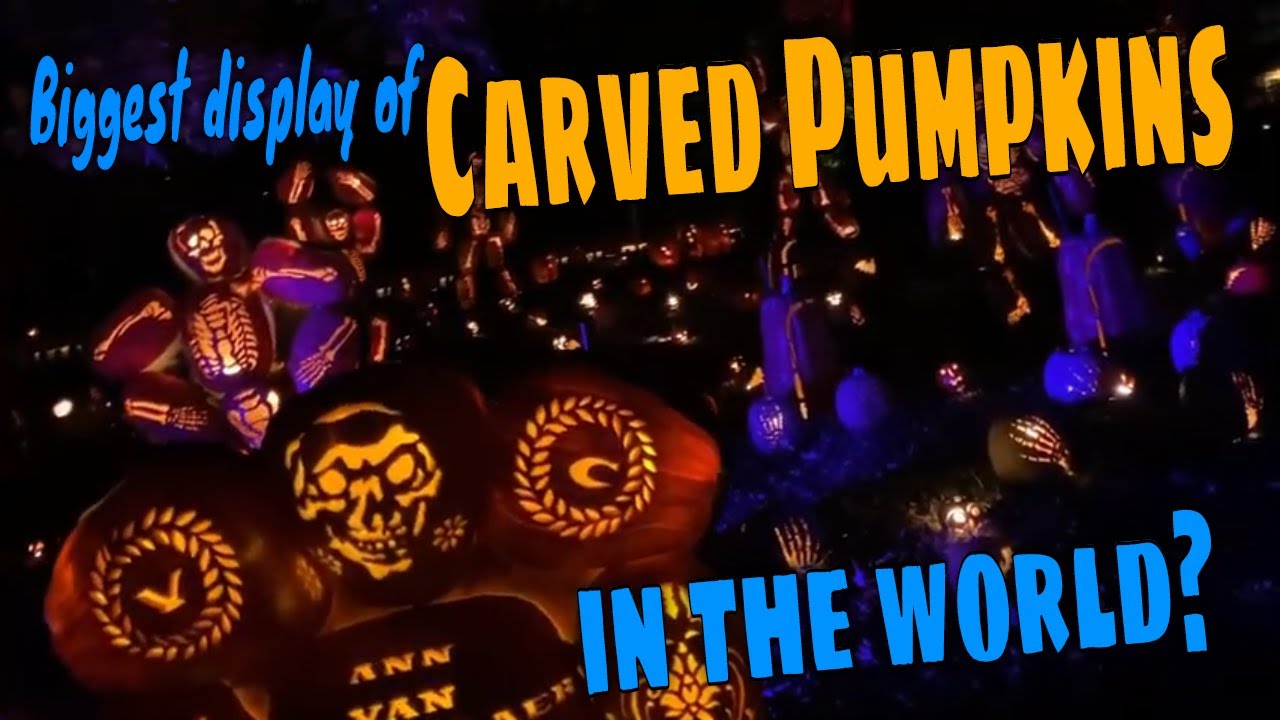 Is this the biggest display of pumpkins in the world?