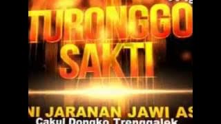 Jaranan Turonggo Sakti Cakul Dongko Trenggalek Full