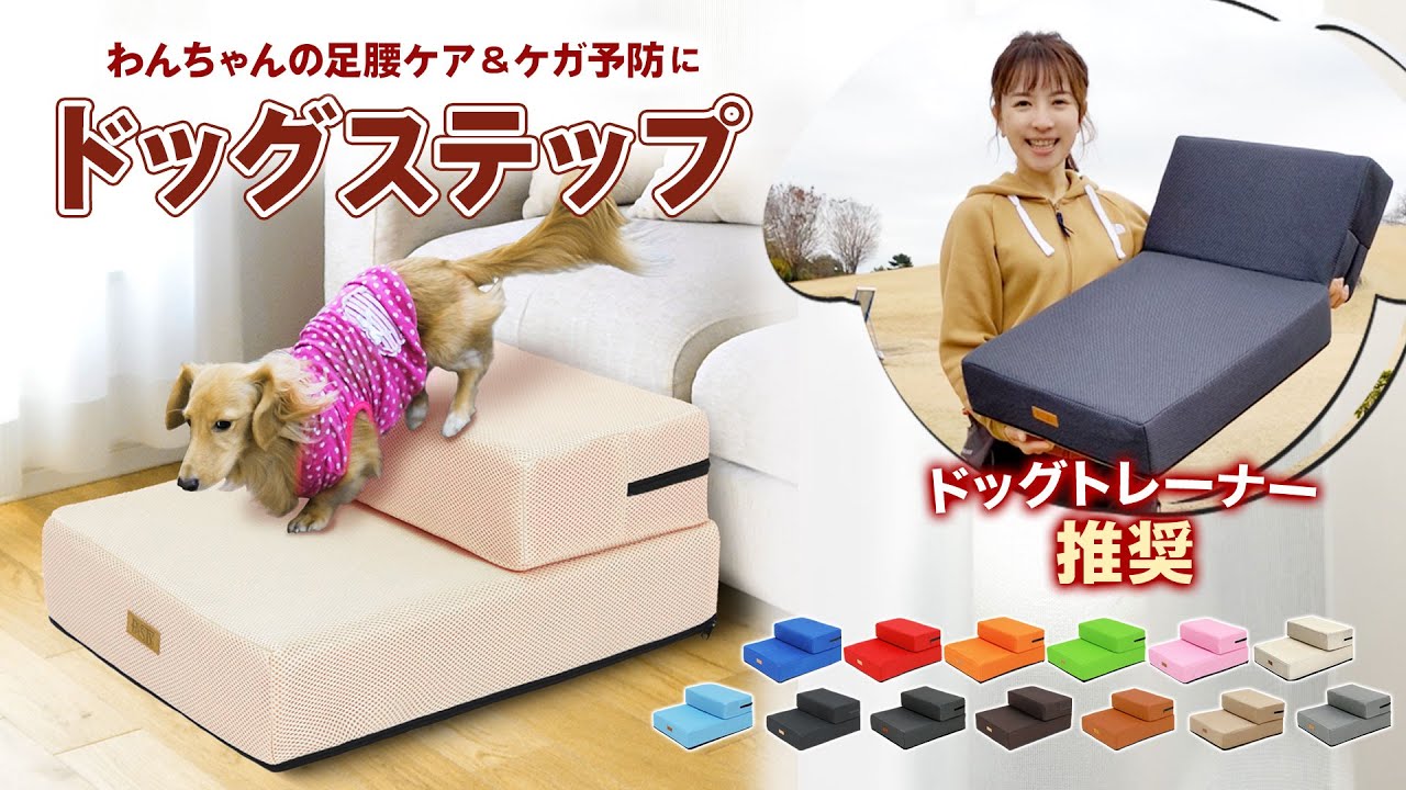ドッグトレーナー推奨】 ドッグステップ 犬 階段 ペット 犬用 ステップ