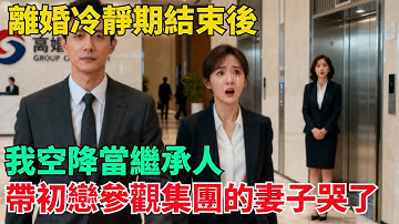 離婚冷靜期結束後，我空降當繼承人，帶初戀參觀集團的妻子哭了【清風與你】#激情故事#大彬情感#夢雅故事#小說#爽文