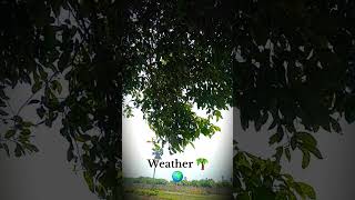 Aaj ka mausam #amazing #nature #minivlog #viral #shortvideo #love #travel #youtubevloggers #vlog