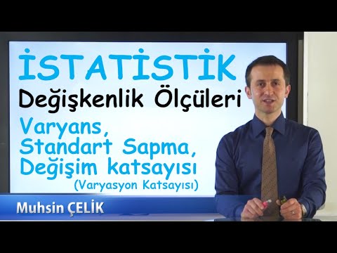 Video: A ve B standart biçimde neyi temsil eder?