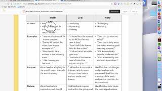 Video Reflection Feedback