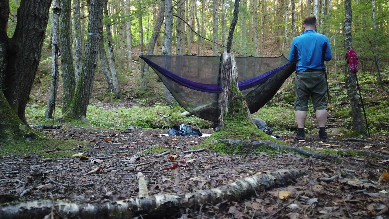 Setup Hummingbird Single+, Straps, Warbler Bug Net, & Pelican Tarp, w/ LSOH underquilt and
