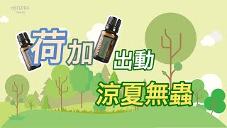 薄荷+尤加利=荷加出動，涼夏無蟲 