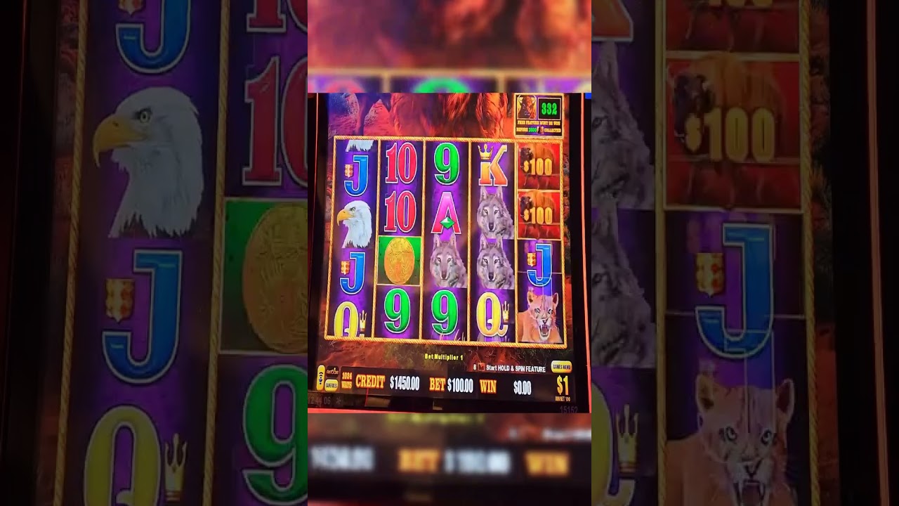 Greedy Slot: How Much Will It Eat Today?