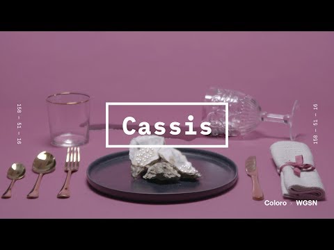 Coloro x WGSN key colors 2020: Cassis