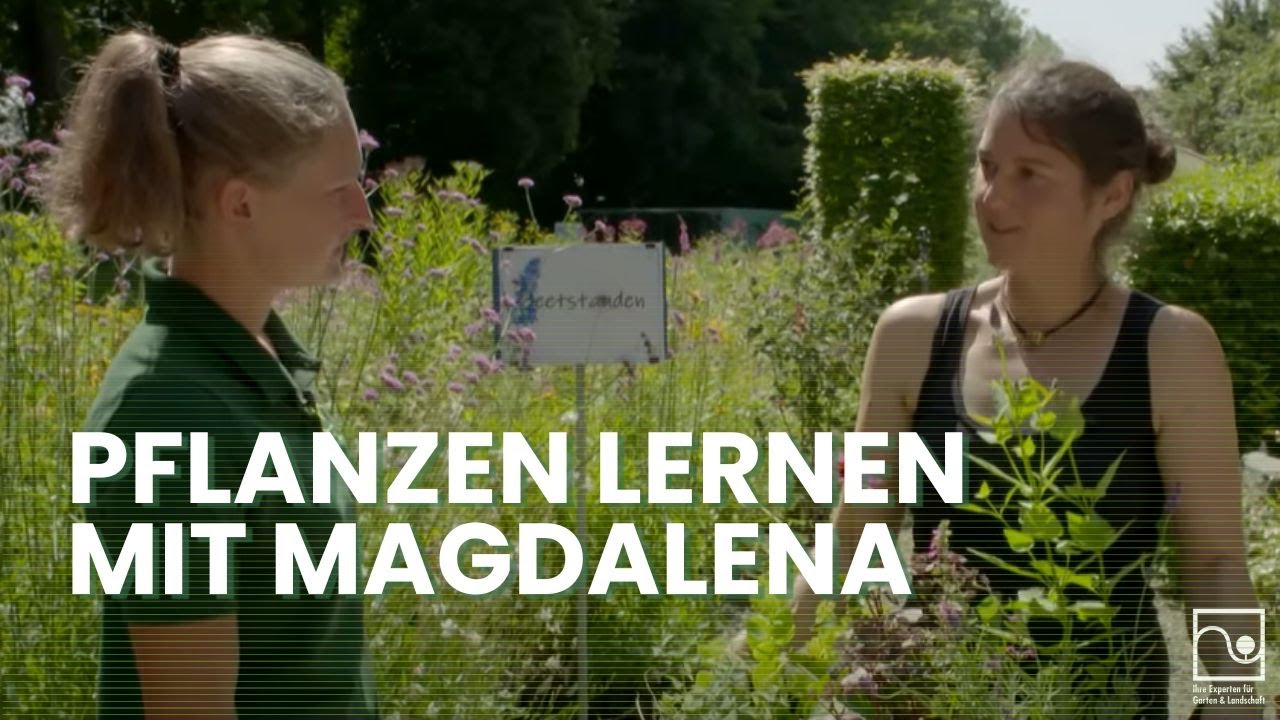 Magdalena lernt Pflanzen | Tipps und Tricks für die Prüfung | GaLaBau Bayern