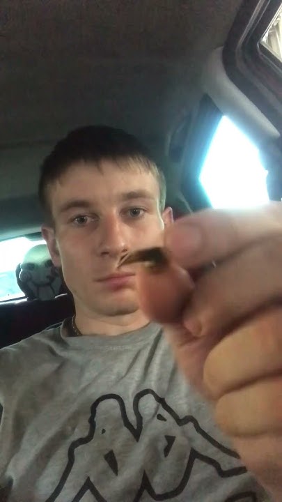 Рябчик #манок на рябчика - YouTube