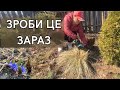 Найважливіші роботи в саду Що зробити в березні і квітні 