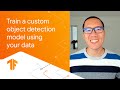 Train a custom object detection model using your data