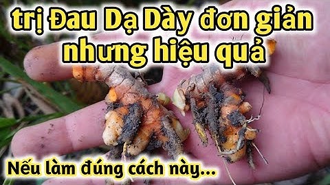 Bài thuốc trị Viêm loét dạ dày, đau dạ dày. PHAN HẢI Channel