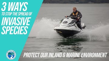 PWC - 3 WAYS TO STOP THE SPREAD OF INVASIVE SPECIES Protect  Inland & Marine Environment