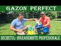 Cum sa ai un gazon verde si sanatos? Ingrasamintele profesionale - Secretele intretinerii corecte