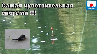 Карась на мормышку с поплавком   самая чувствительная оснастка!