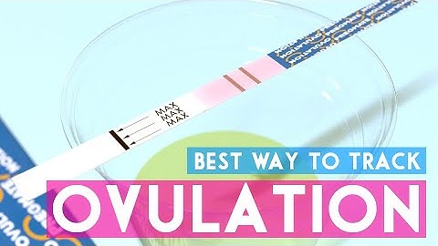 Determine your most fertile days using ovulation tests.