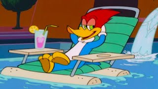 Download Lagu Woody is on Vacation | Woody Woodpecker MP3 Download Lagu Woody is on Vacation | Woody Woodpecker MP3
