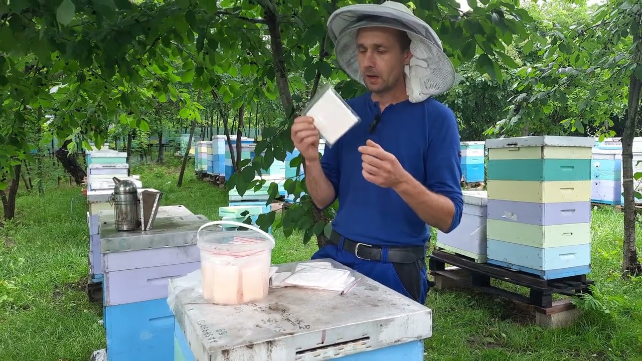 13.06.2024 Tratament cu acid formic. Aspecte importante.