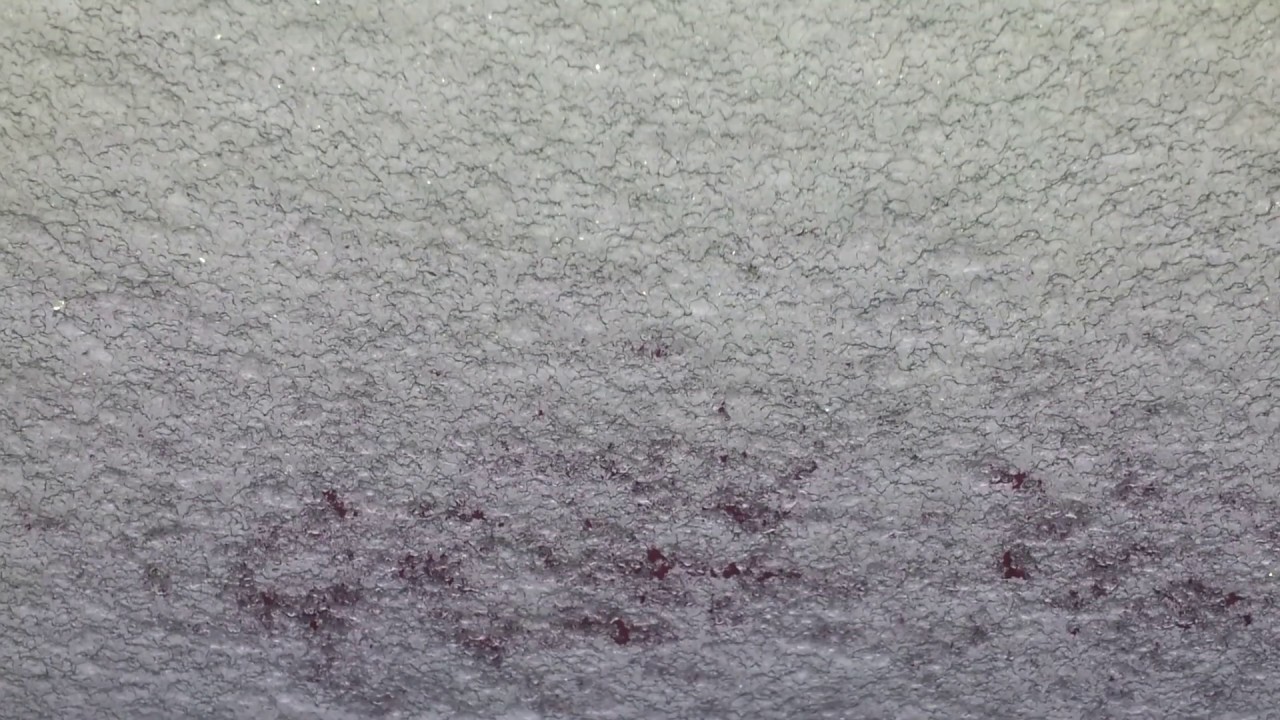 Обогрев лобового стекла Ford Focus2