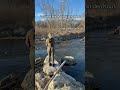 Wie siehst du das #angeln #shortfeed #fishinggirl