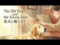 【泣き歌】「老犬とひだまり」【家族・無償の愛】