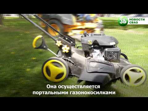 Зачем косят газоны