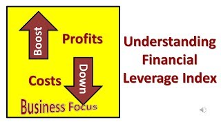 Understanding Financial Leverage Index