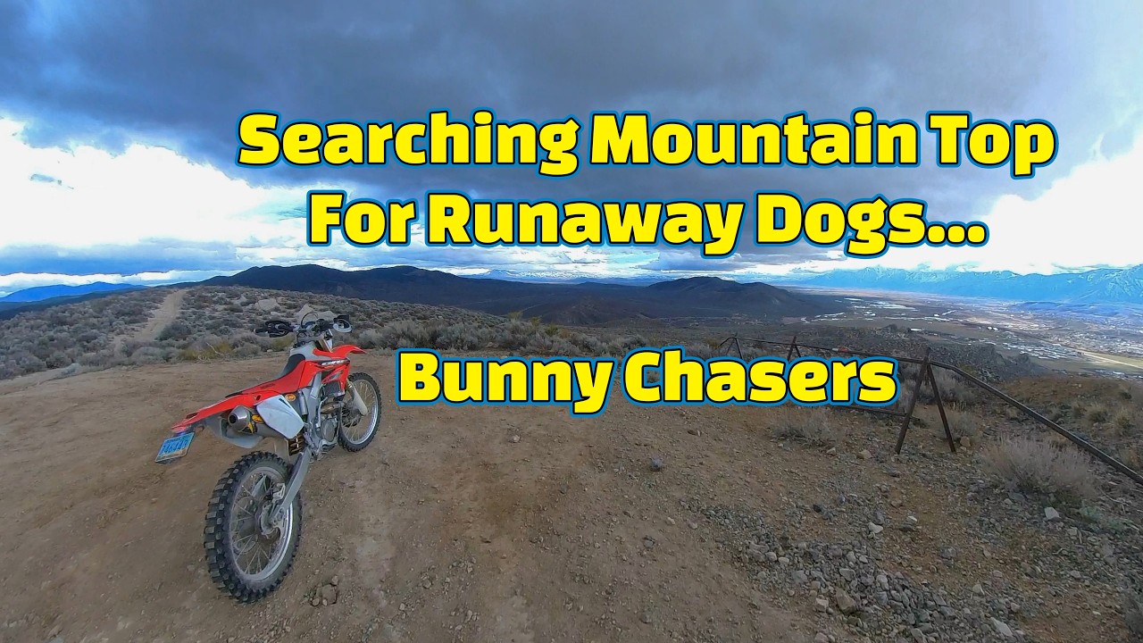 RANT & Ride! Searching for Lost Dogs!