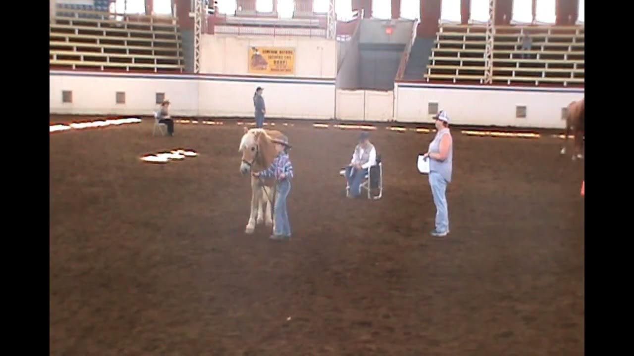 State Fair Horse Show 4.15.2023 YouTube