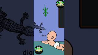 Cicak Vs Buaya Vs Kadal  shorts hewanviral hewanlucu