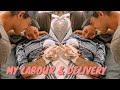 HE'S HERE!!! Labour & Delivery Of Our First Baby | My BIRTH VLOG