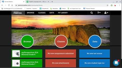 Savvas Realize Export Data by Standard