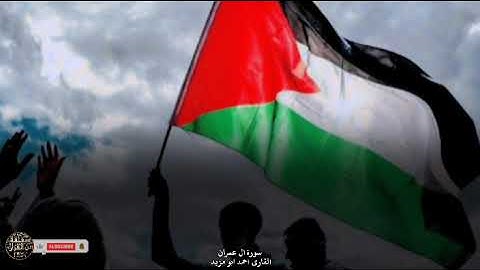 ما تيسر من سورة آل عمران بصوت القارئ الفلسطيني أحمد أبو مزيد . #قرآن #غزة #ديرالبلح #فلسطين