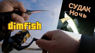видео: ЛОВЛЯ СУДАКА ДНЕМ И НОЧЬЮ! картинка: ЛОВЛЯ СУДАКА ДНЕМ И НОЧЬЮ!