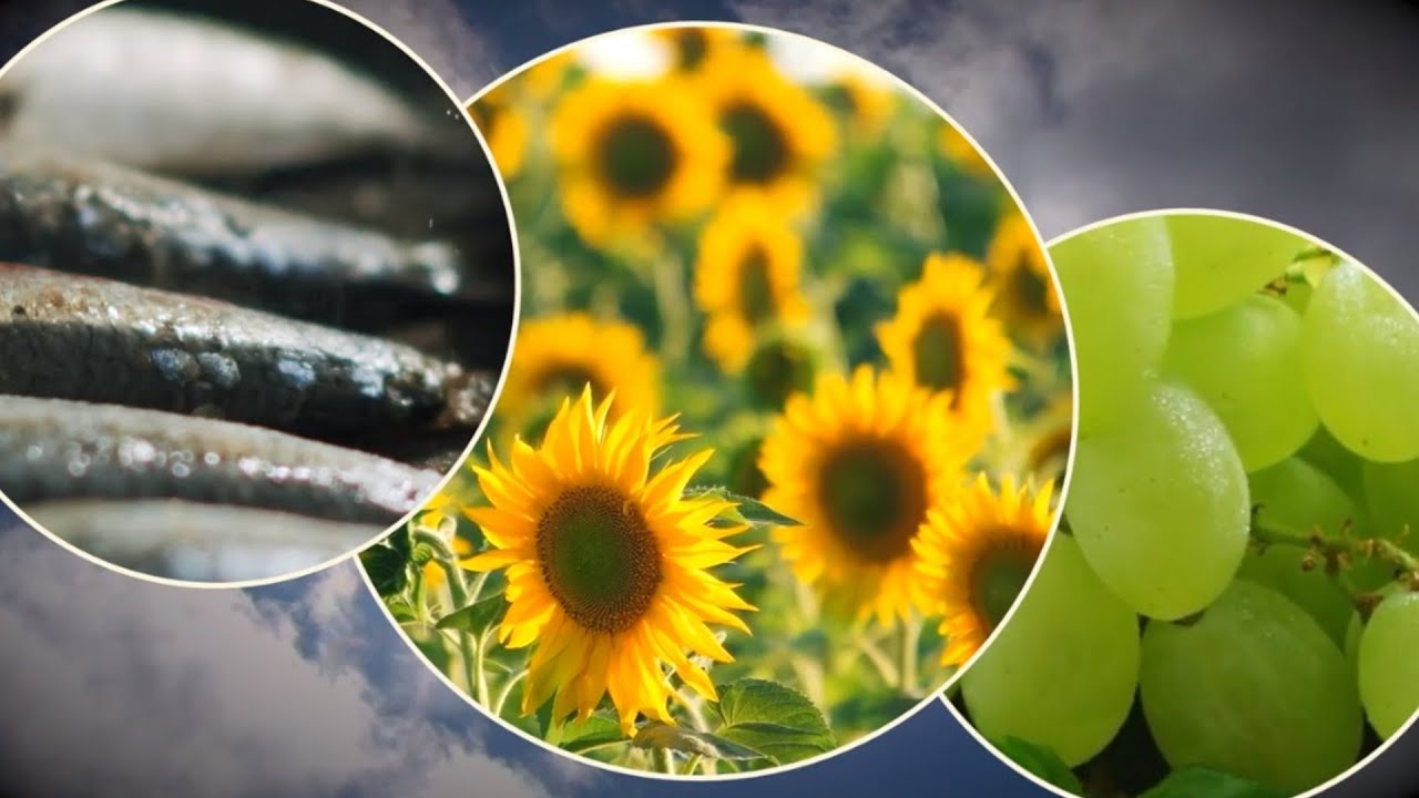 3 Foods That Can Help Protect Against Sunburn 