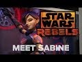 Meet Sabine, the Explosive Artist | Star Wars Rebels