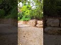 Peaceful Slow Motion Walk | Quiet Street Moment