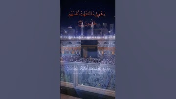 تلاوات خاشعة  إِنَّ الَّذينَ سَبَقَت لَهُم مِنَّا الحُسنى ياسر الدوسري#quran #ياسر_الدوسري#explore
