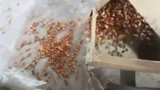 shelling kernel separator